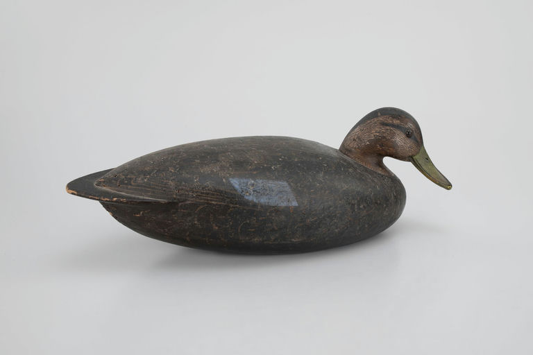 Louis Rathmell – Black Duck – 2026
