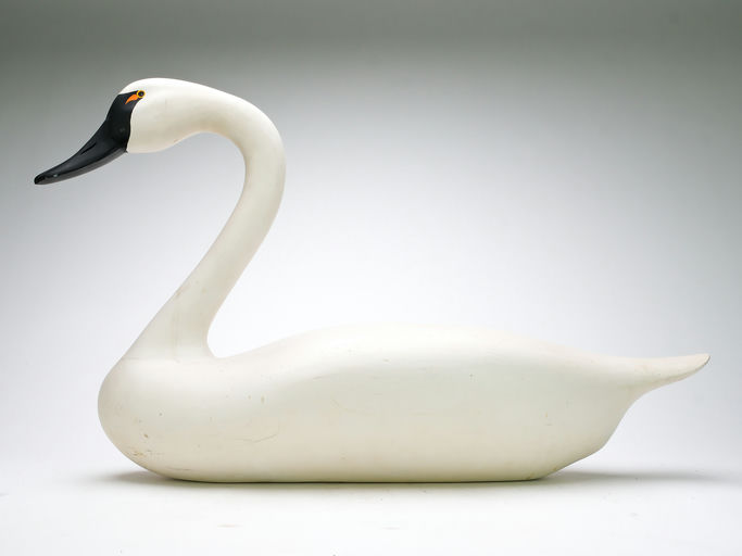 R. Madison Mitchell – Swan – 2025