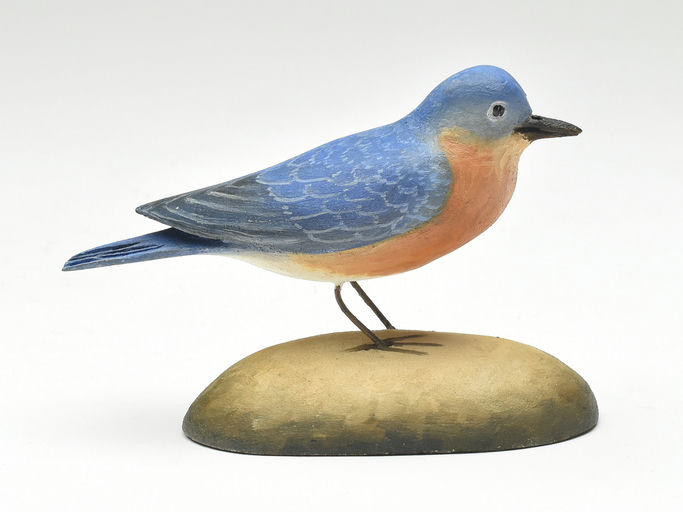 Frank Finney – Miniature eastern bluebird – 2023