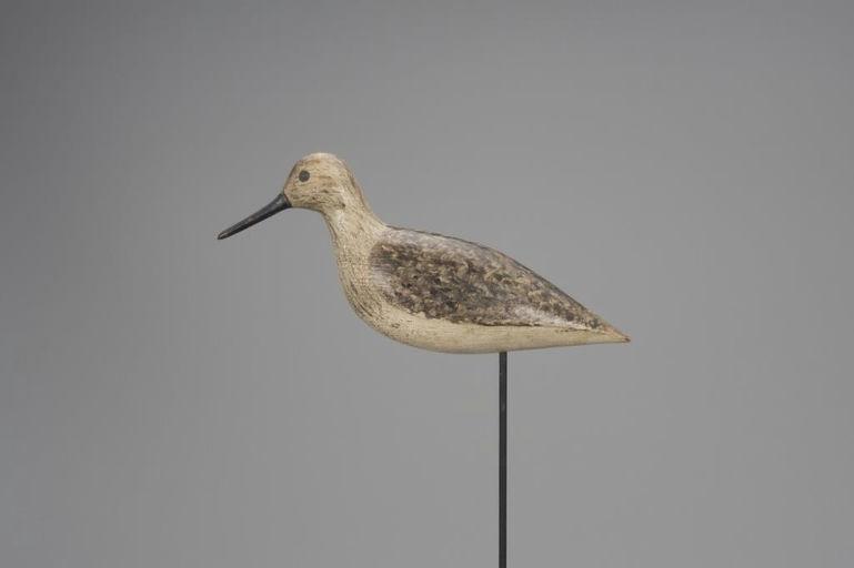 Harry V. Shourds – Yellowlegs – 2018