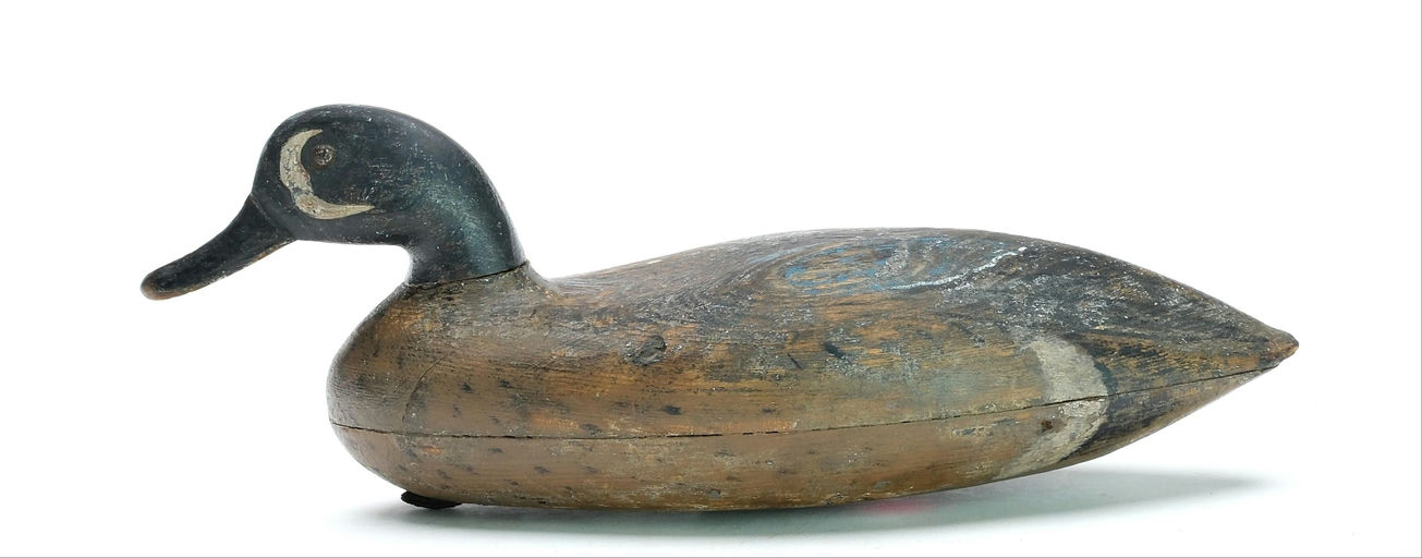 John Blair, Sr. – Blue-winged teal – 2025