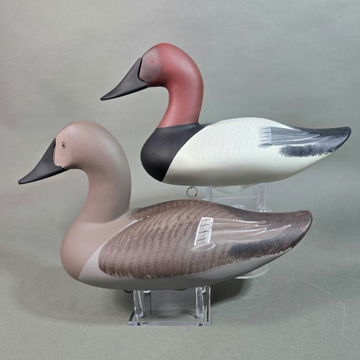 Jim Pierce – Canvasback – 2026