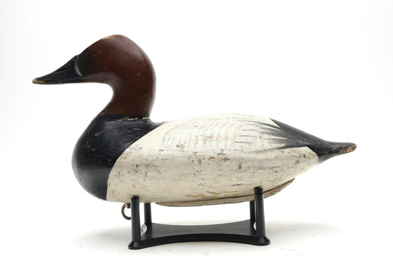 Henry Lockard – Canvasback – 2026