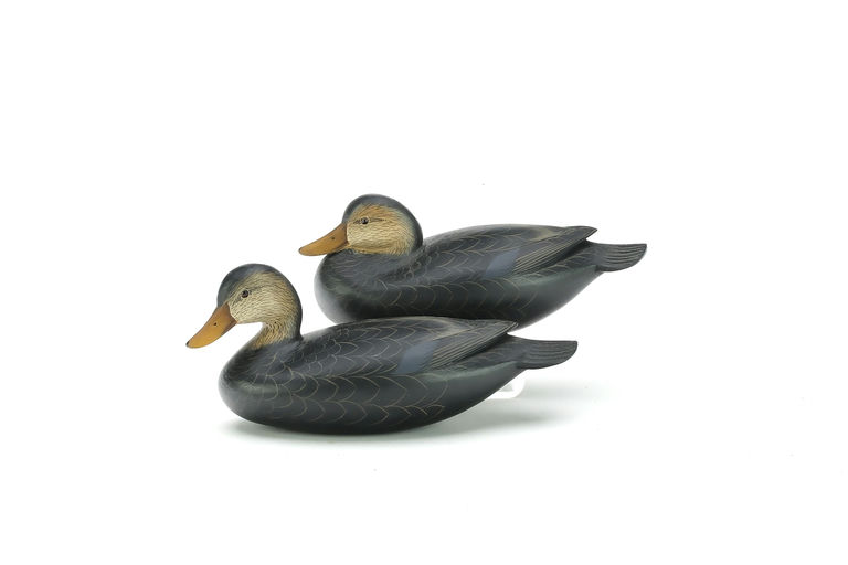 George Strunk – Pair of Black Ducks – 2025