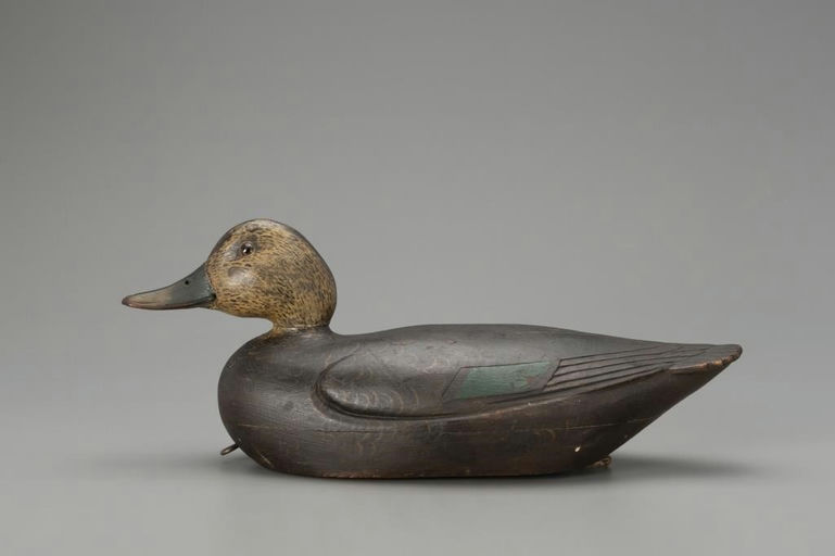 Charles Hart – Black Duck – 2018
