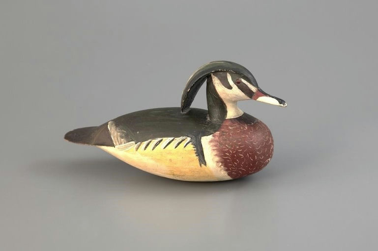 Ira Hudson – Exceedingly Rare Wood Duck Drake – 2025