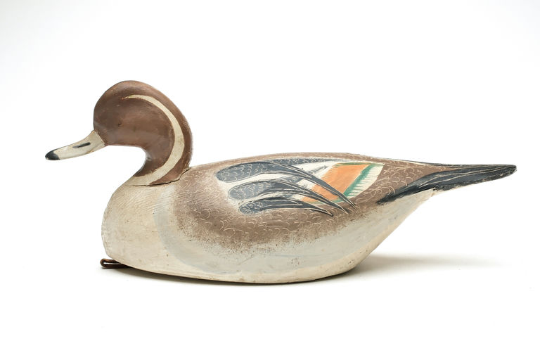 Ira Hudson – Pintail – 2026