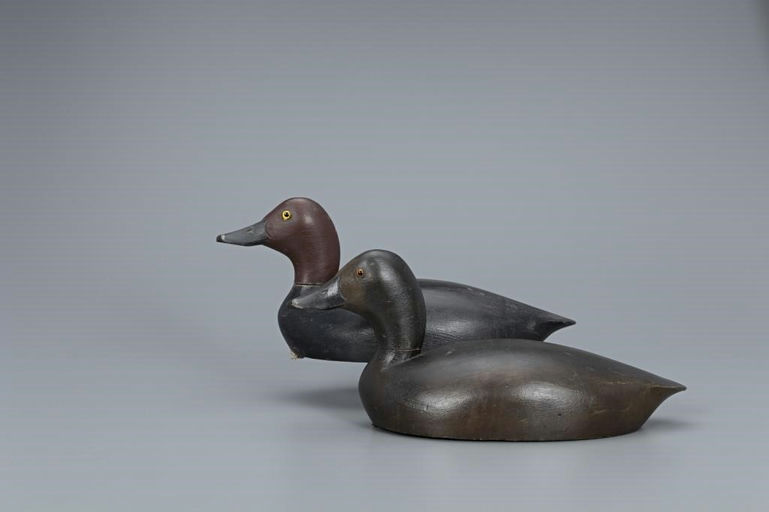 Thomas Chambers – Rigmate Redhead Pair – 2019