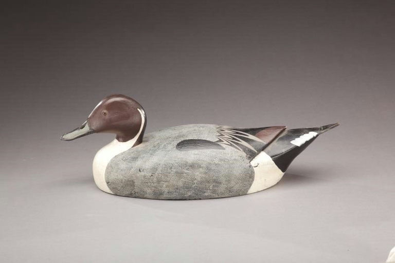 Anthony Bianco – Pintail Drake – 2012