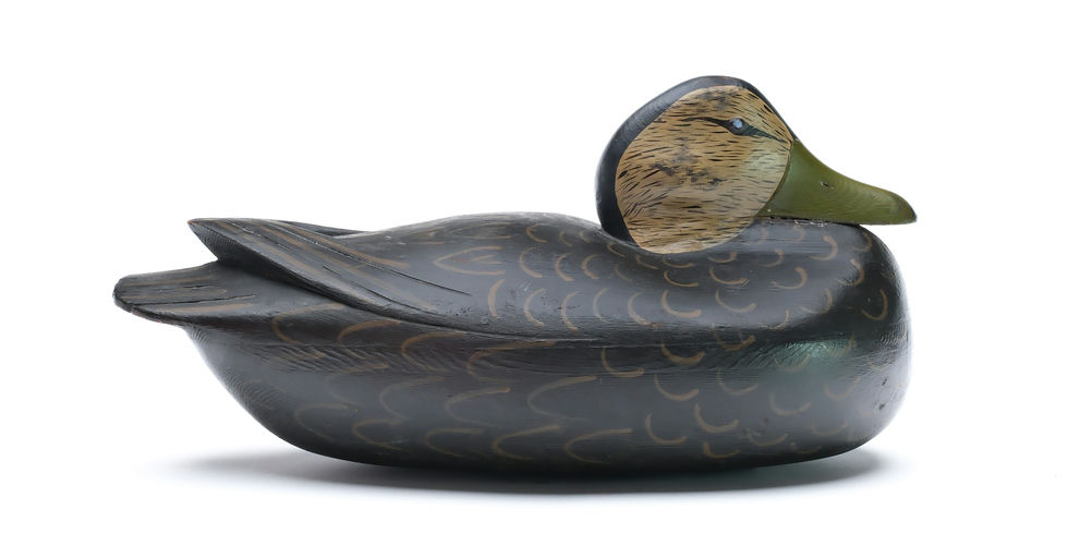 Jess Heisler – Black duck – 2025