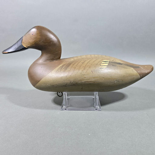 R. Madison Mitchell – Canvasback – 2026