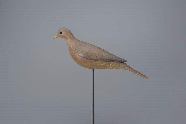 Mark McNair – Mourning Dove – 2017