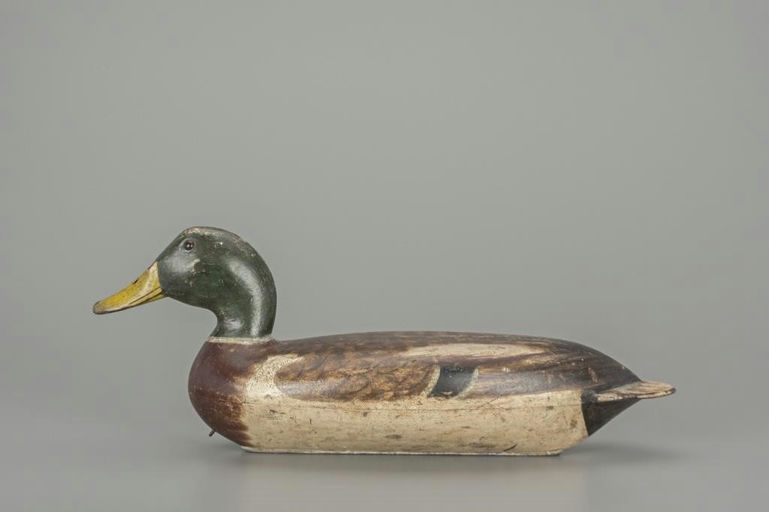 Robert Elliston – Mallard Drake – 2018