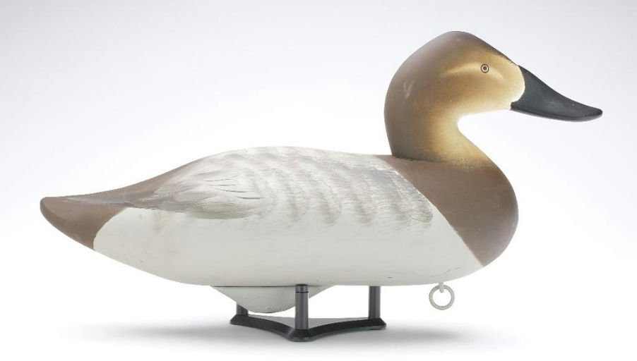 Charlie Joiner – Canvasback Hen – 2023