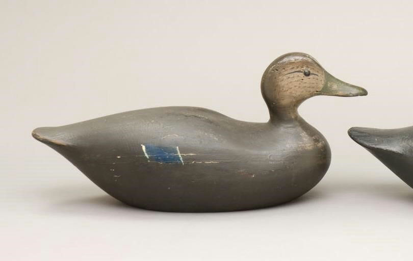 Joseph Lincoln – Black Duck – 2010