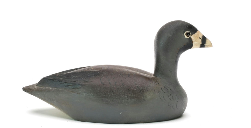 David W. Nichol – Grebe – 2025