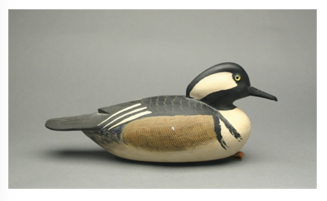 Grayson Chesser – Hooded Merganser – 2015