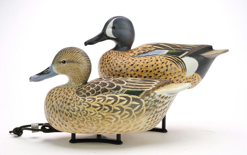 Ben A. Heinemann – Blue-winged Teal – 2024