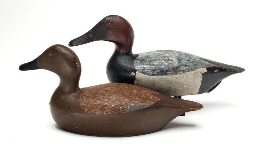 Rosh Douglas – Canvasback – 2026