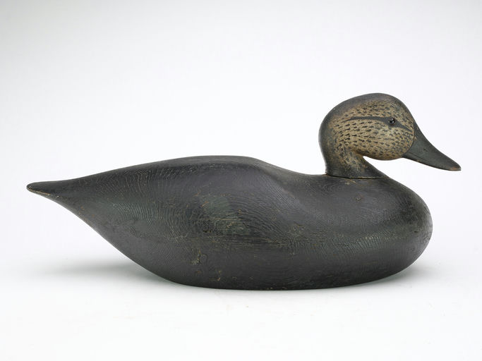 Joseph Lincoln – Black Duck – 2025