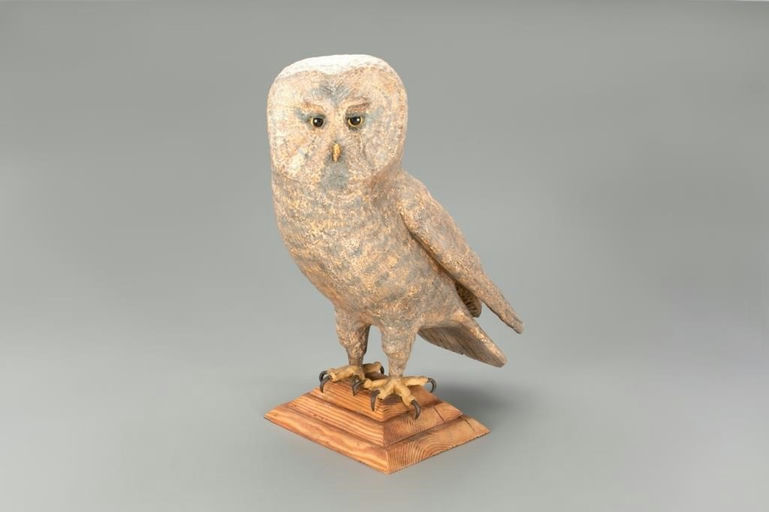 Frank Finney – Barred Owl – 2021