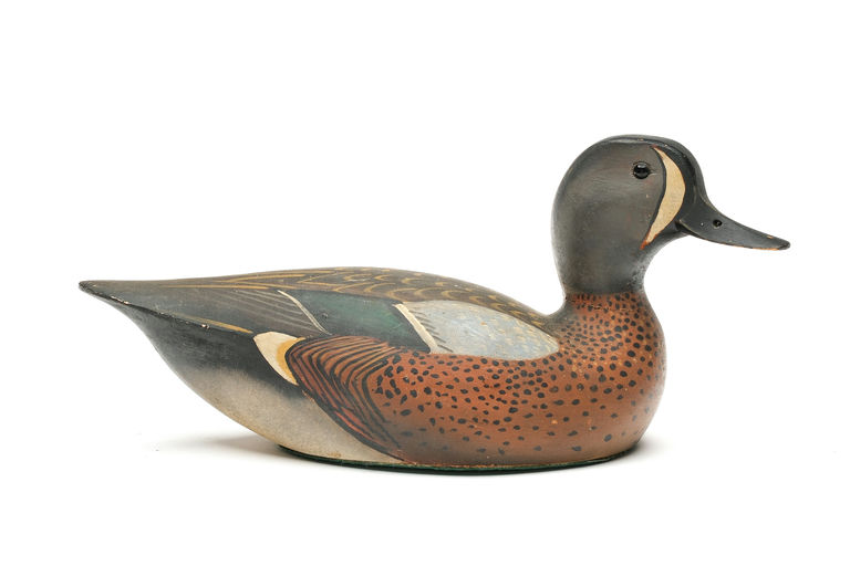 Ward Brothers – Blue-winged Teal – 2026