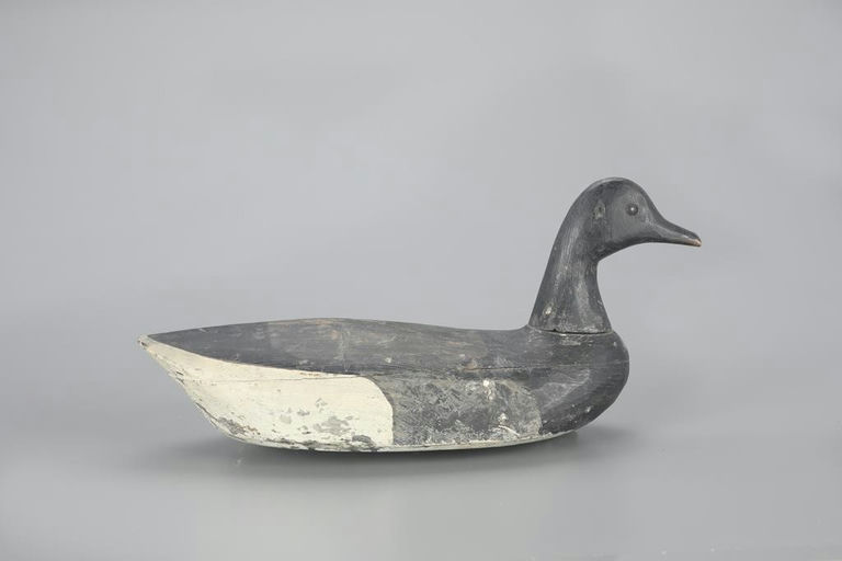 Gus Bishop – Root-Head Brant – 2023