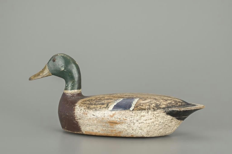 Charles Walker – Mallard Drake – 2018