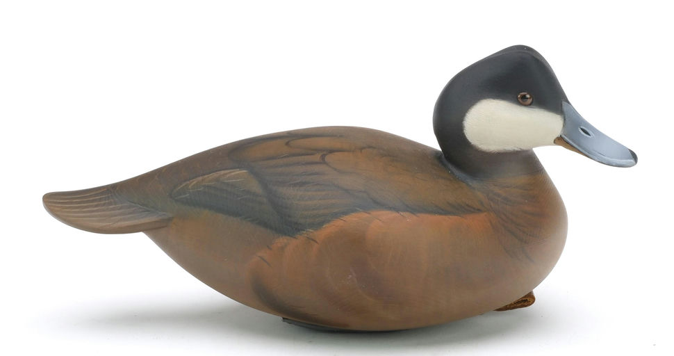 Sean Sutton – Ruddy Duck – 2024