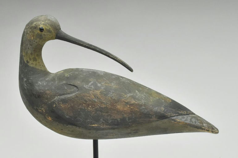 Reggie Birch – Curlew – 2023