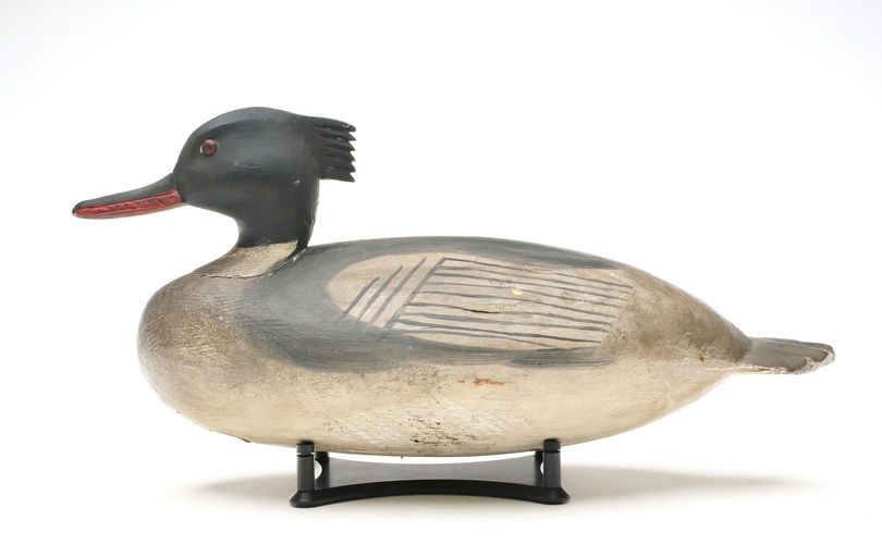 Ira Hudson — Red-breasted Merganser