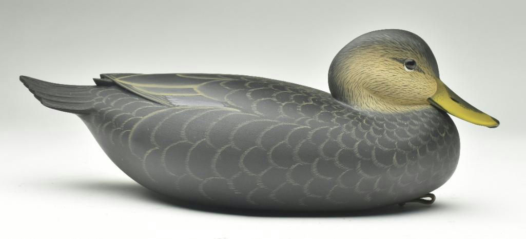 George Strunk – Black Duck – 2024