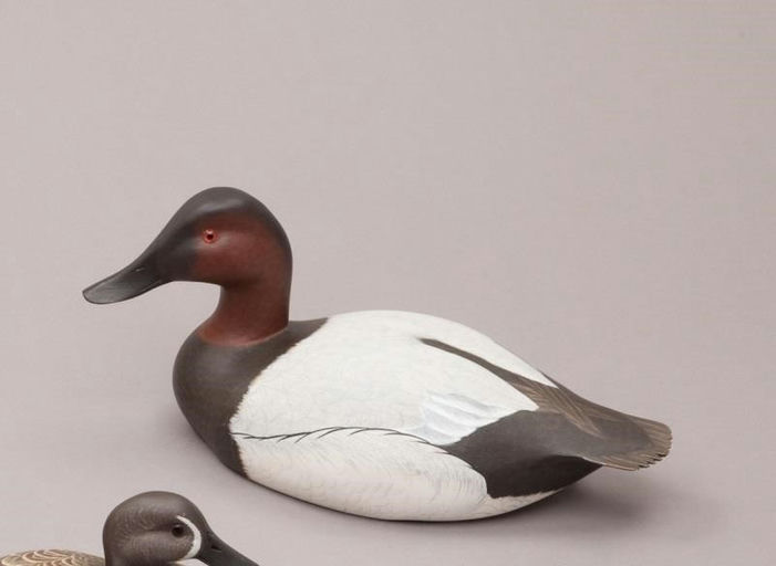 Ken Harris – Canvasback Drake – 2011