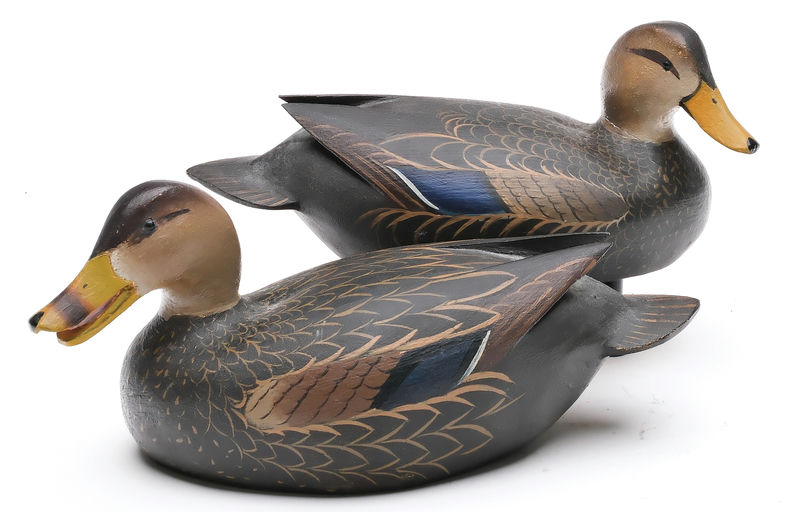 Ward Brothers – Pair of black ducks – 2026