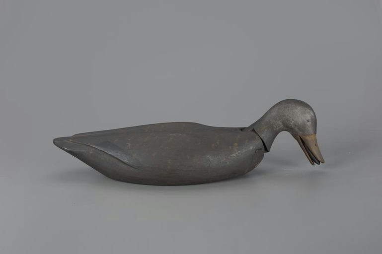 Gus Wilson – Mussel-In-Mouth Rocking-Head Black Duck – 2024