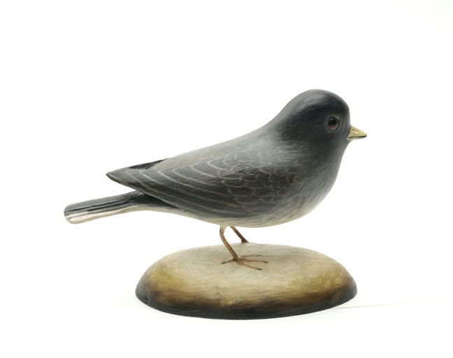 Frank Finney – Slate-colored- Junco With Glass Eyes and Raised Wingtips – 2025