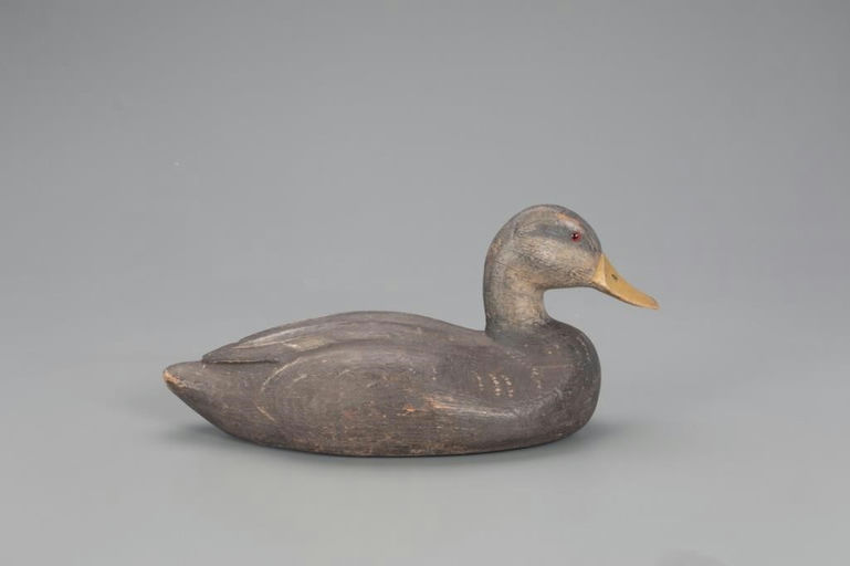 Miles D. Pirnie – Black Duck – 2021