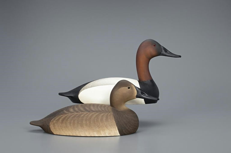 Marty Hanson – Hollow Canvasback Pair – 2019