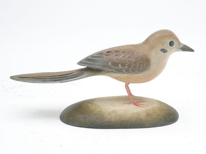 Frank Finney – Miniature mourning dove – 2023