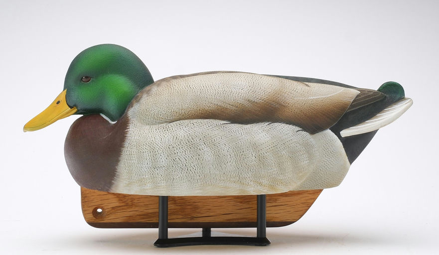 Tom Matus – Mallard – 2024