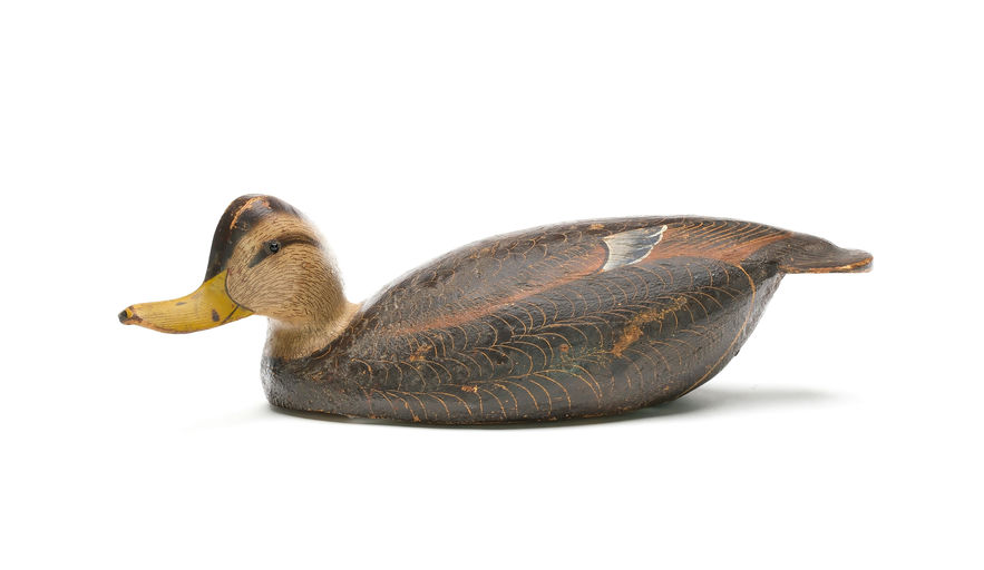 Ward Brothers – Early Black Duck – 2026