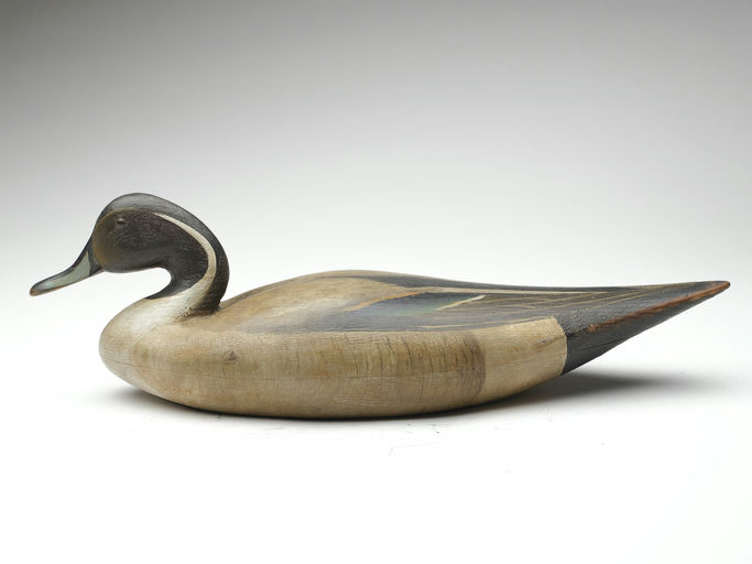 Cameron McIntyre – Pintail – 2023