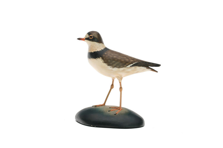 Elmer Crowell – Plover – 2026