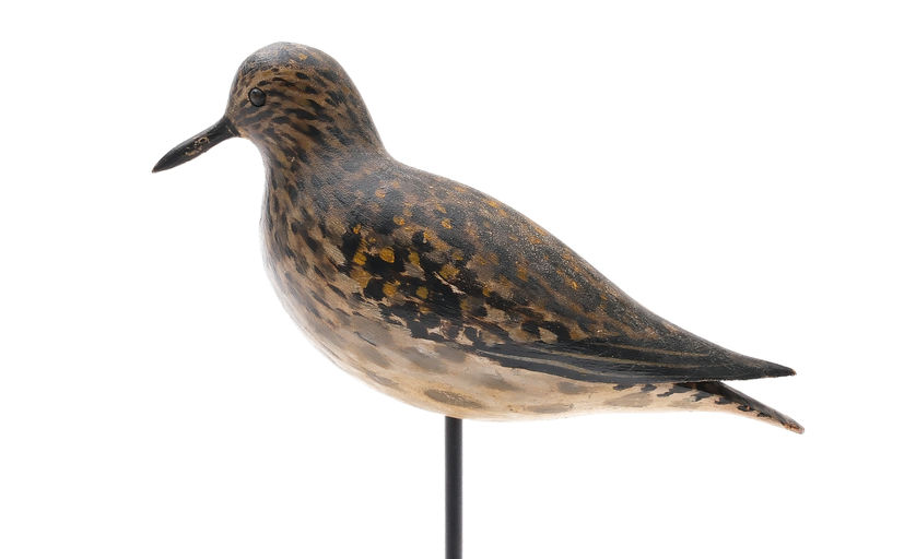 Elmer Crowell – Golden Plover – 2025