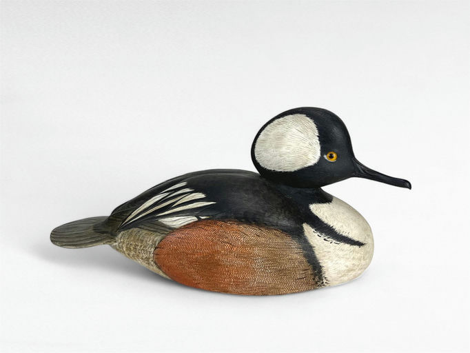 Al Glassford — Decorative Hooded Merganser