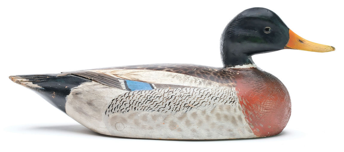 Elmer Crowell – Mallard – 2026