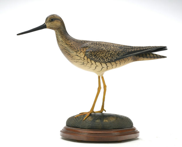 Bill Gibian – Greater Yellowlegs – 2025