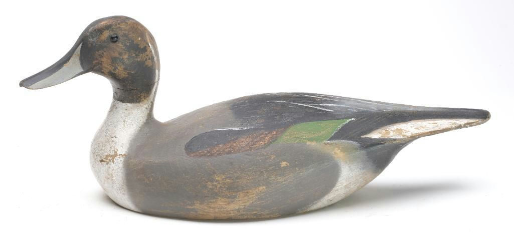 Ward Brothers – Pintail – 2023