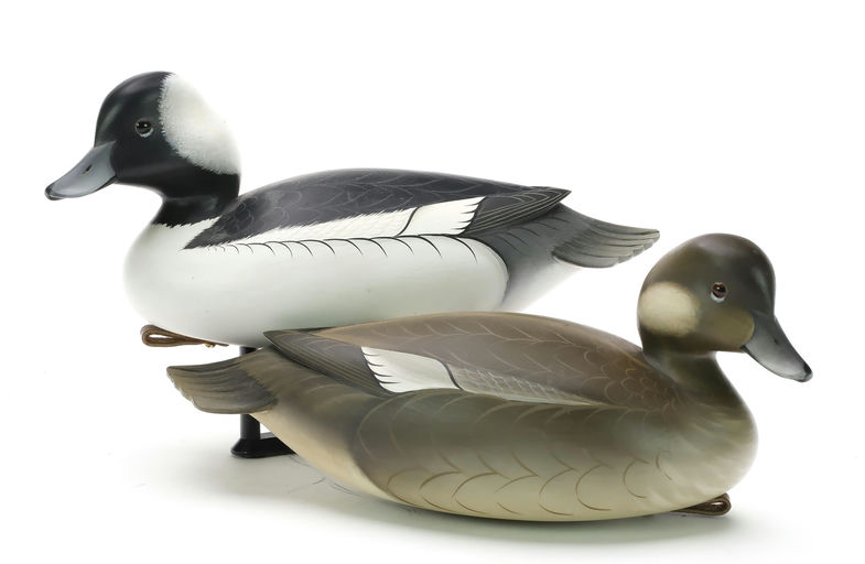 George Strunk – Pair of Bufflehead – 2024