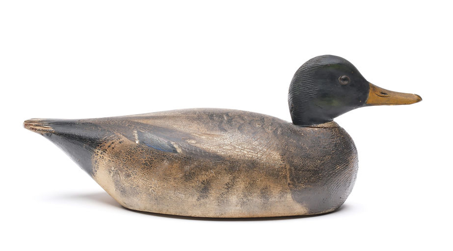 Elmer Crowell – Mallard Drake – 2025